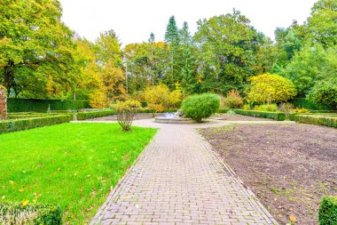 Yeni bitki ekmeye hazırlanan botanik bahçesinin manzarası, kısmen yeşil çimenler ve diğer sadece toprak, bir çeşmeye doğru merkez kaldırım yolu, arka planda sonbahar ağaçları.
