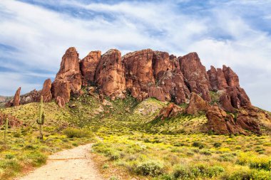 Sarı Brittlebush kır çiçekleriyle Kayıp Hollandalı Eyalet Parkı Yürüyüş Yolu. Flatiron Peak in the Superstions 'a çıkan Kayıp Hollandalı Eyalet Parkı' ndaki Define Döngü Yolu 'na giriş. Arizona çöl yürüyüş yolu ilkbaharda mavi gökyüzü ve bulutlarla.