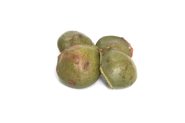 Luk nieng, djenkol fazole ovoce izolovaných na bílém pozadí — Stock fotografie