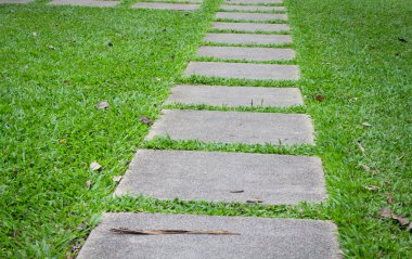 Beton yol parkta yürüyüş
