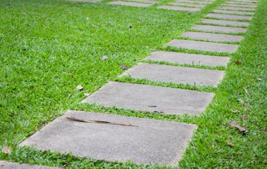 Beton yol parkta yürüyüş