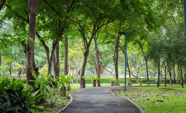 Parque da cidade verde, passarela para exercício — Fotografia de Stock
