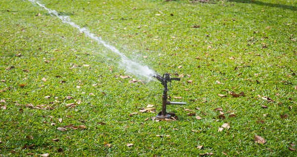 Automatische sprinkler drenken in tuin — Stockfoto