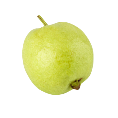 Guava, kes, tam alan derinliği.