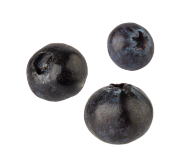 Düşen yaban mersini, kesme, tam derinlik.