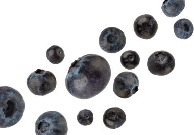 Düşen yaban mersini, kesme, tam derinlik.