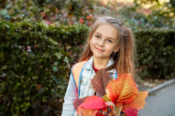 回学校去秋天 一个7岁的女孩沿着公园的一条小巷上学 — 图库照片