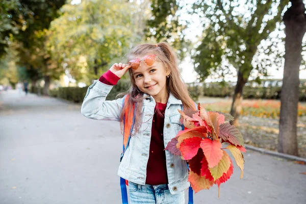 Повернутися Школи Восени Річна Дівчинка Ходить Школи Алеї Парку — стокове фото