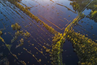 Günbatımında Kemeri Ulusal Parkı 'ndaki bataklık dokusu ve deseni hava manzarası..
