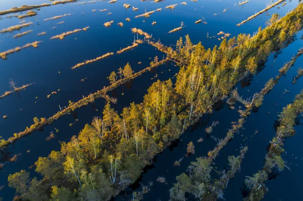 Letecký Pohled Bažinatou Texturu Vzor Národním Parku Kemeri Při Západu — Stock fotografie