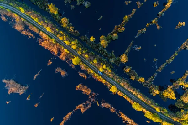 Vista Aérea Textura Padrão Pântano Parque Nacional Kemeri Durante Pôr — Fotografia de Stock