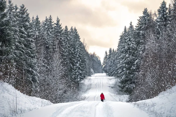 Thick snowy forest and man in red jacket walking on lonely snowy road.