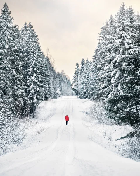 Thick snowy forest and man in red jacket walking on lonely snowy road.