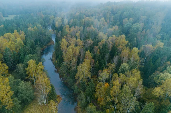 Vue Aérienne Rivière Entourée Une Épaisse Forêt Pendant Matinée Automne — Photo