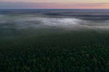 Güneş doğarken Soomaa Milli Parkı kuş bakışı. (yüksek ISO resmi)