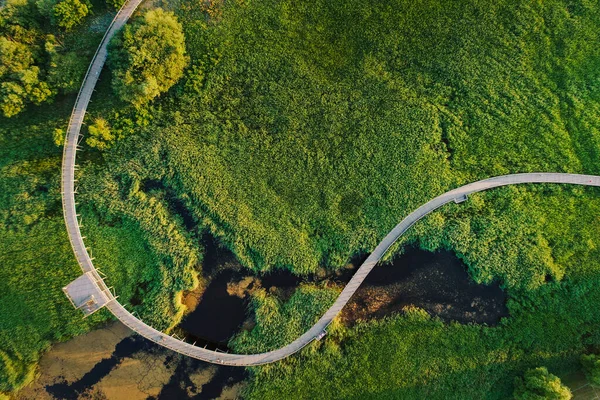 Dřevěná Turistická Stezka Mokřině Vyhlídková Věž Paluba Krásným Výhledem Parnu — Stock fotografie