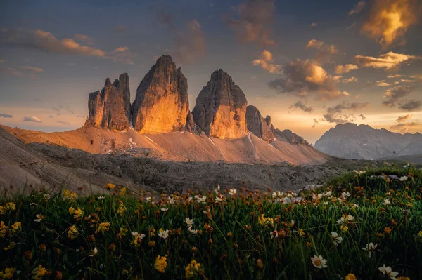Gün batımında Tre Cime di Lavaredo 'nun üç tepesi çiçek arkaplanlı.