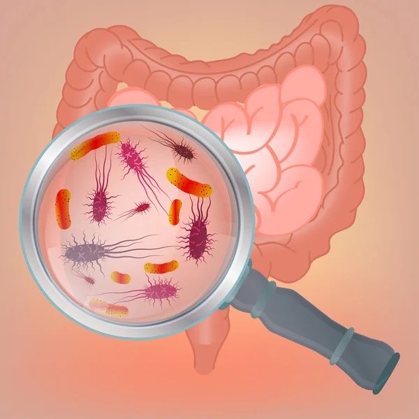 Vector bacteriën Flora — Stockvector