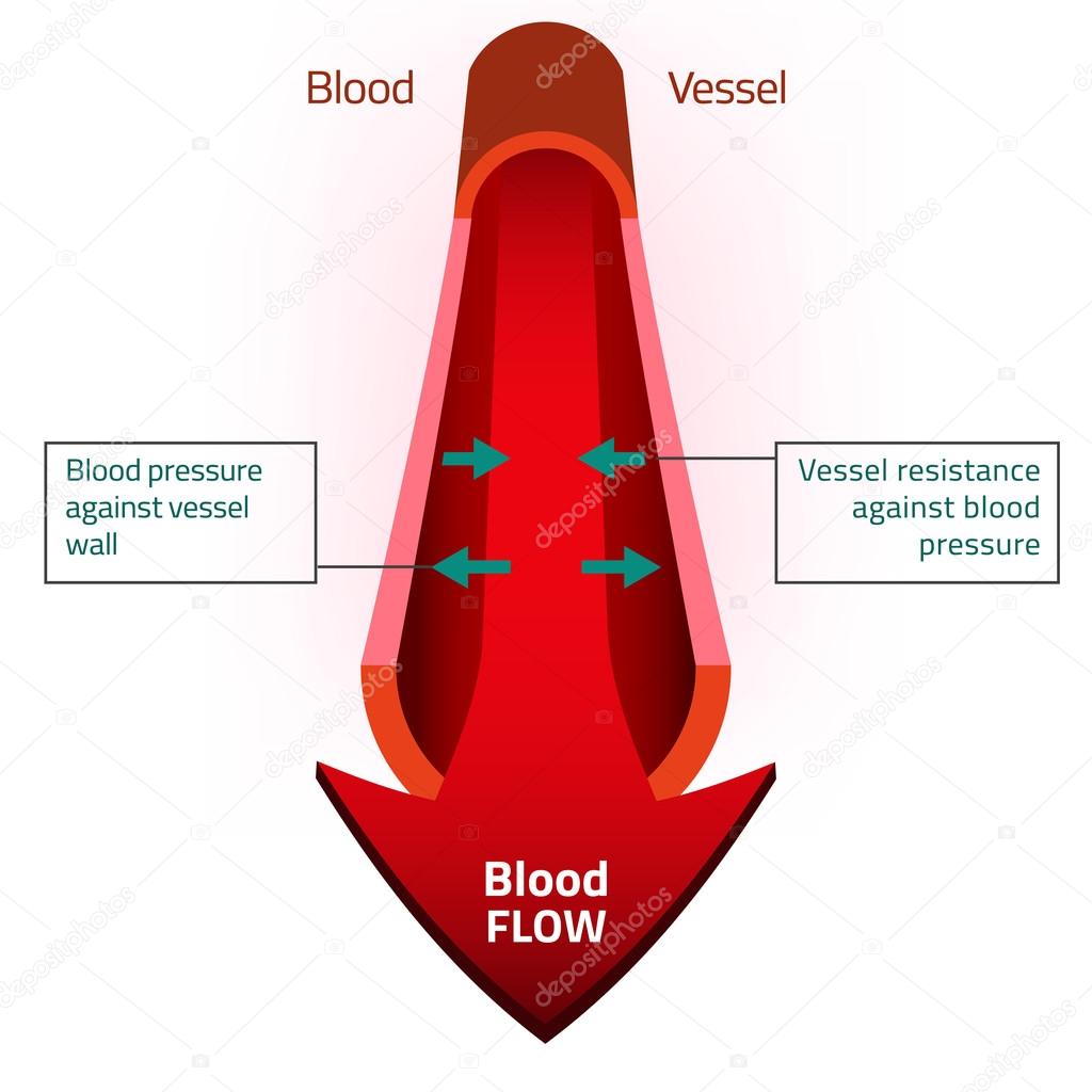 Blood Vector Image