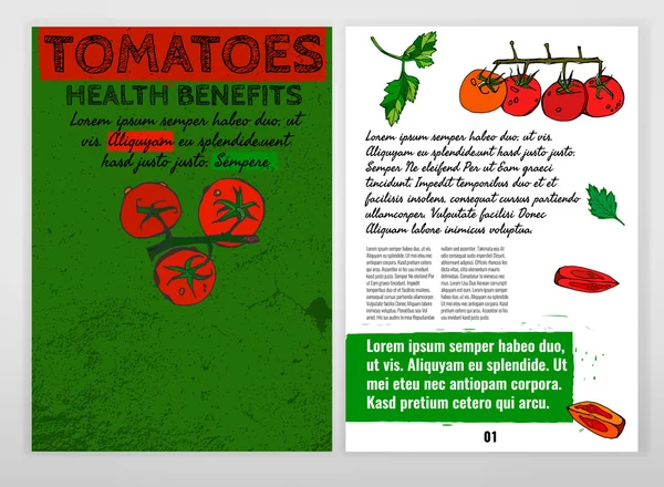 Imagem vetorial de tomate — Vetor de Stock
