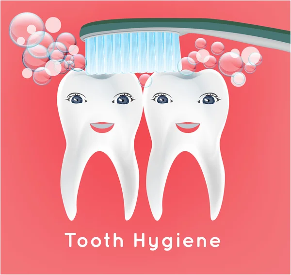 Infografía de dientes humanos. Primer diente — Vector de stock