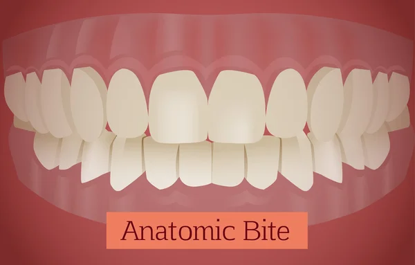 Dientes Mordedura vector — Vector de stock