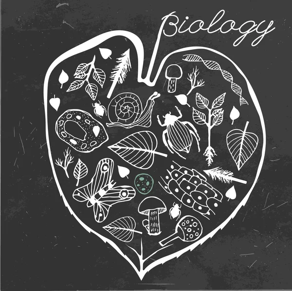 Biologie Doodles vector — Stockvector