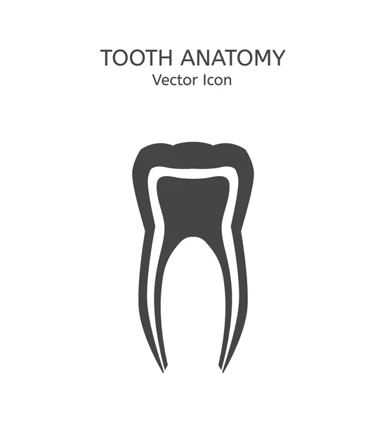 Tand-ikonen vektor — Stock vektor