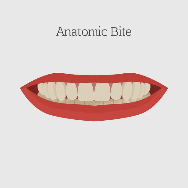 Muerde vector de dientes — Archivo Imágenes Vectoriales