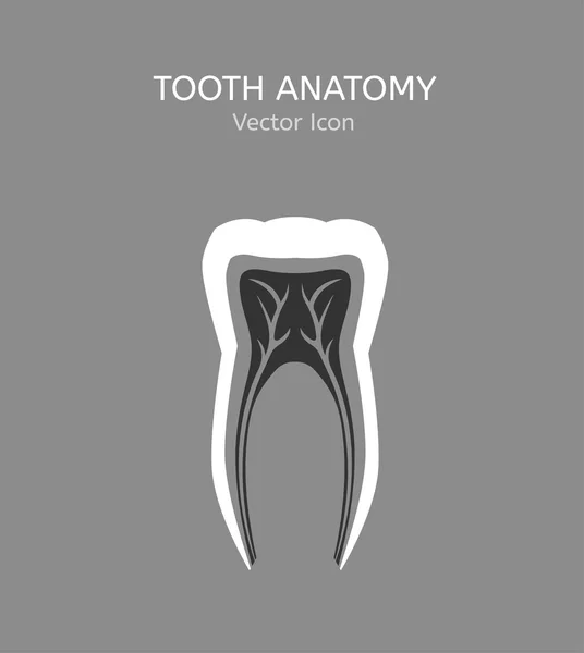 Ícone do vetor de dentes —  Vetores de Stock