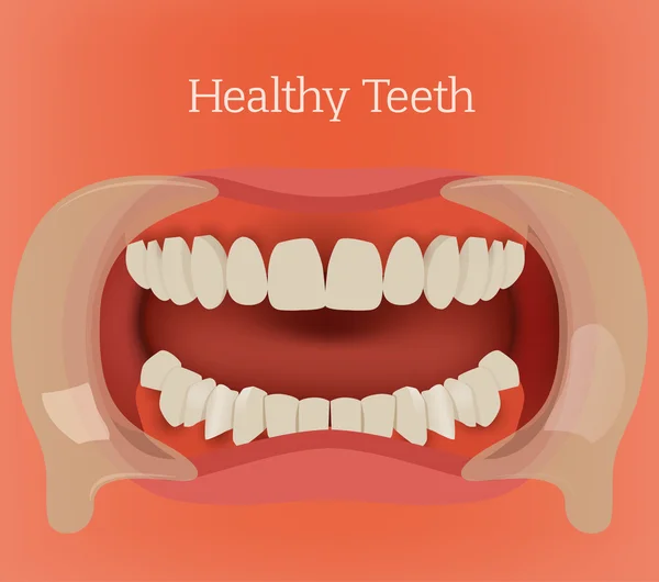 Healthy teeth image — Stock Vector