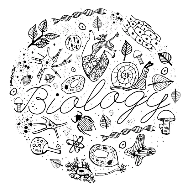 Vecteur biologique Doodles — Image vectorielle