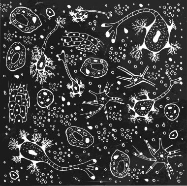 vektör biyolojik arka plan