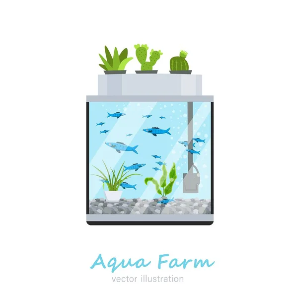 Vector aquarium beeld — Stockvector