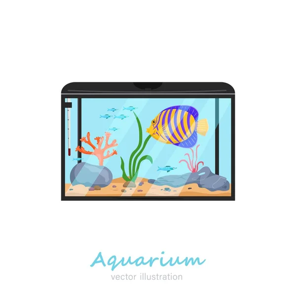 Vector aquarium image Royalty Free Stock Vectors