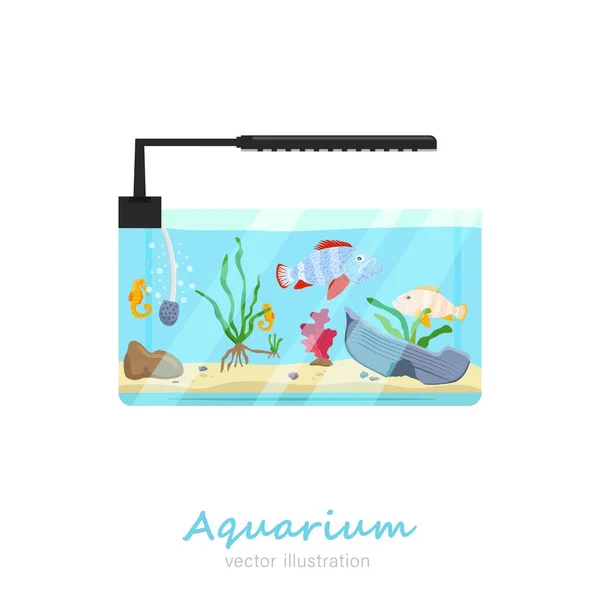 Vector aquarium image Stock Illustration