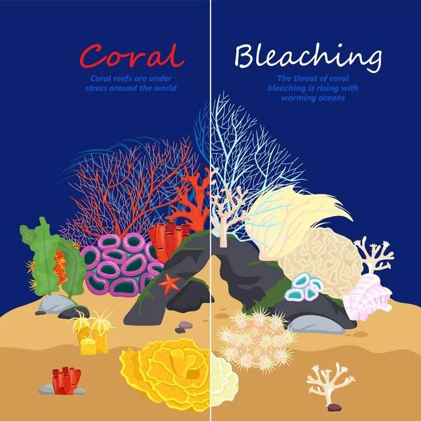 Εικόνα λεύκανσης κοραλλιών — Διανυσματικό Αρχείο