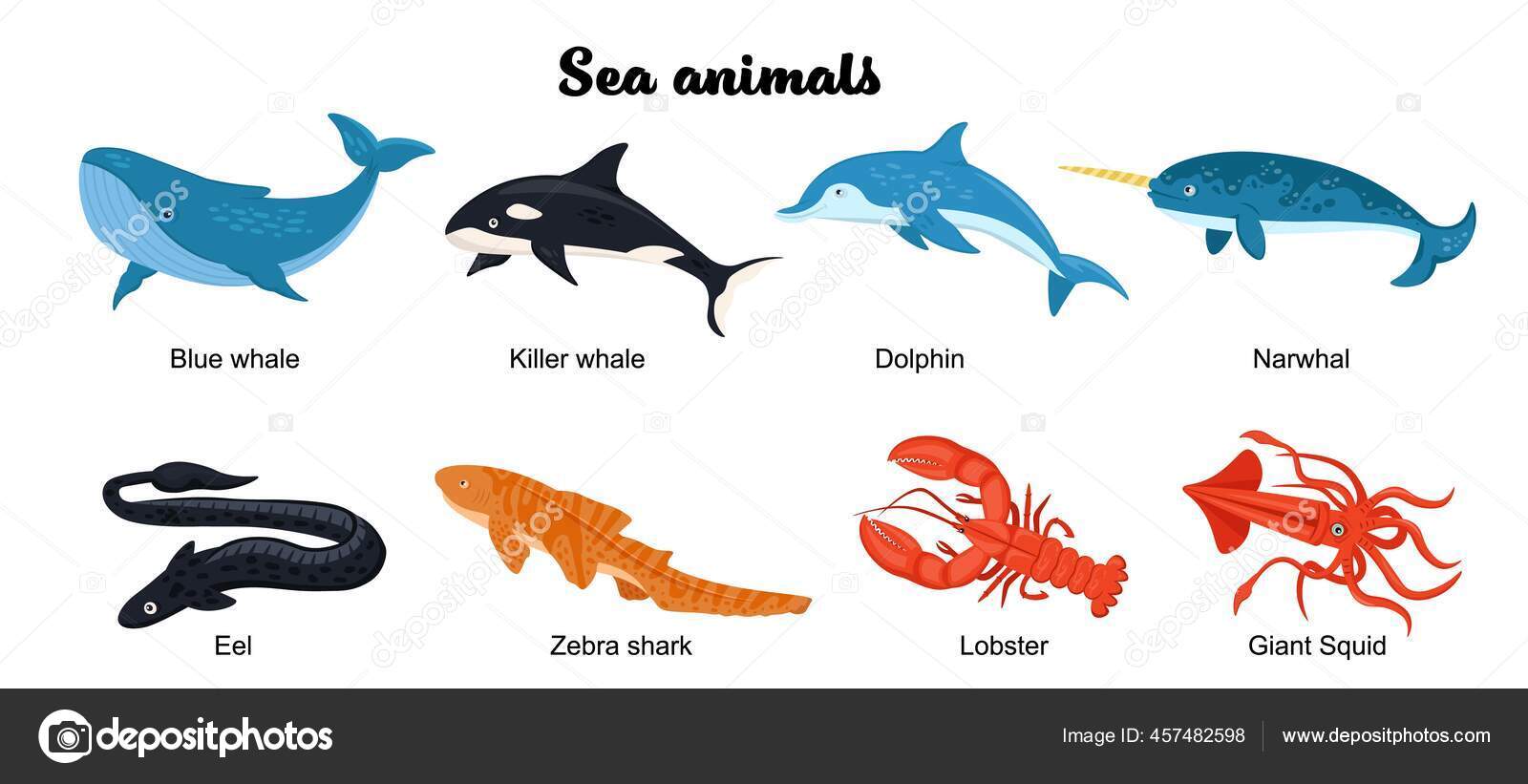 Undersea inhabitants. Endangered species. Sea animals set Stock Vector  Image by ©annyart #457482598