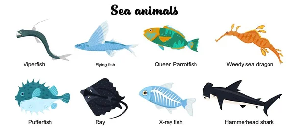 海洋科学Vector Art Stock Images | Depositphotos 海洋科学Vector Art Stock Images | Depositphotos