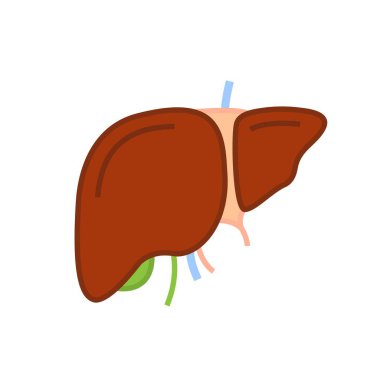 Karaciğer işareti. İç organ piktogramı. Düzenlenebilir vektör illüstrasyonu