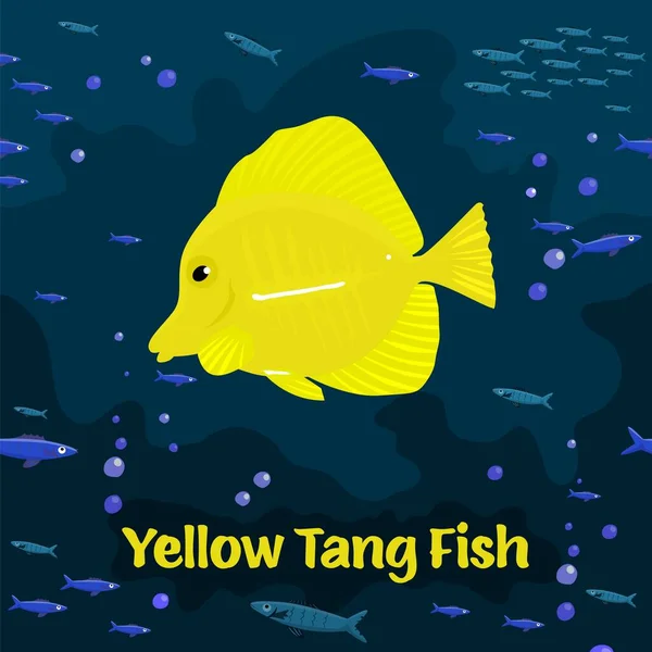Pesce pinza giallo. Zebrasoma flavescens, famiglia Acanthuridae. — Vettoriale Stock