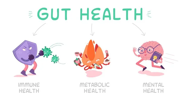 Por qué la salud intestinal importa. Paisaje vector cartel. — Archivo Imágenes Vectoriales