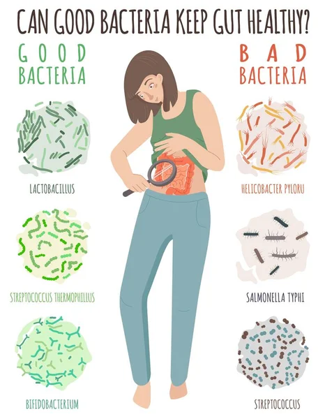 Porque é que a saúde intestinal importa. Sua digestão é importante. —  Vetores de Stock