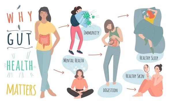 Varför tarmhälsa är viktigt. Landskapsaffisch. Medicinsk infografik. — Stock vektor