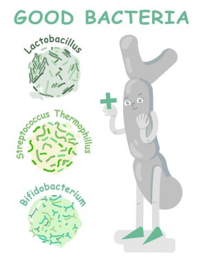 Good bacteria poster with character. Vector illustration clipart