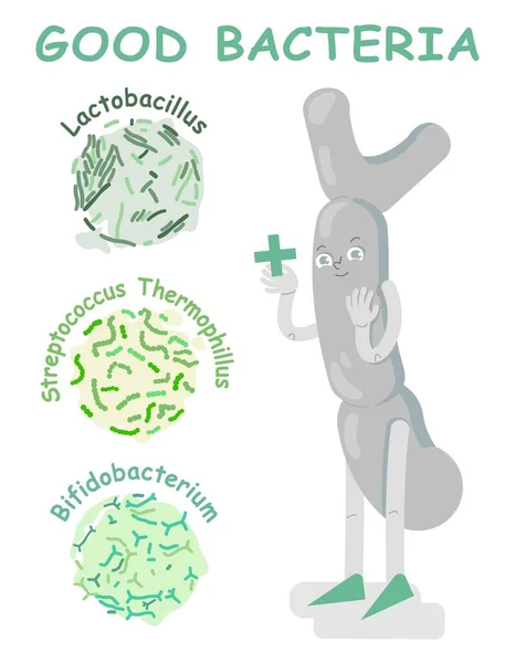 좋은 박테리아 포스터에 캐릭터가 있습니다. 벡터 일러스트 — 스톡 벡터