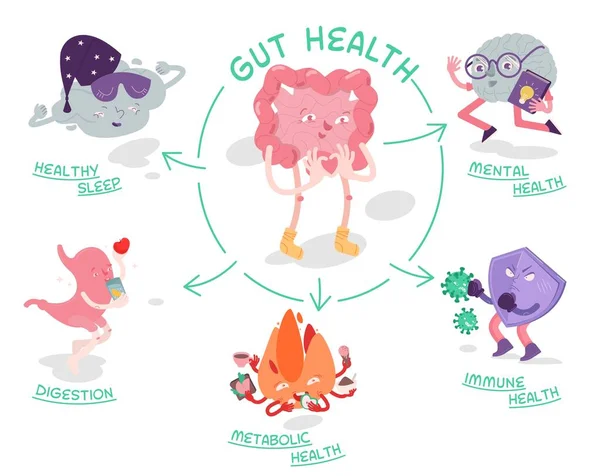 Почему здоровье кишечника имеет значение. Научный плакат с персонажами. — стоковый вектор