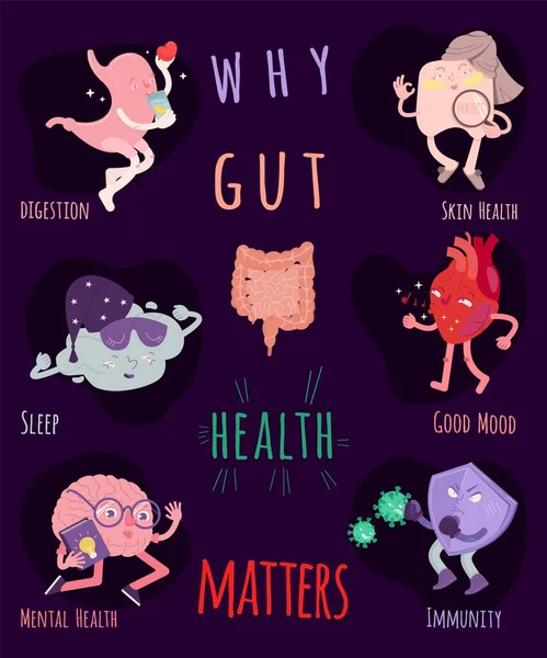 Why gut health matters. Vertical vector poster. — Stock Vector