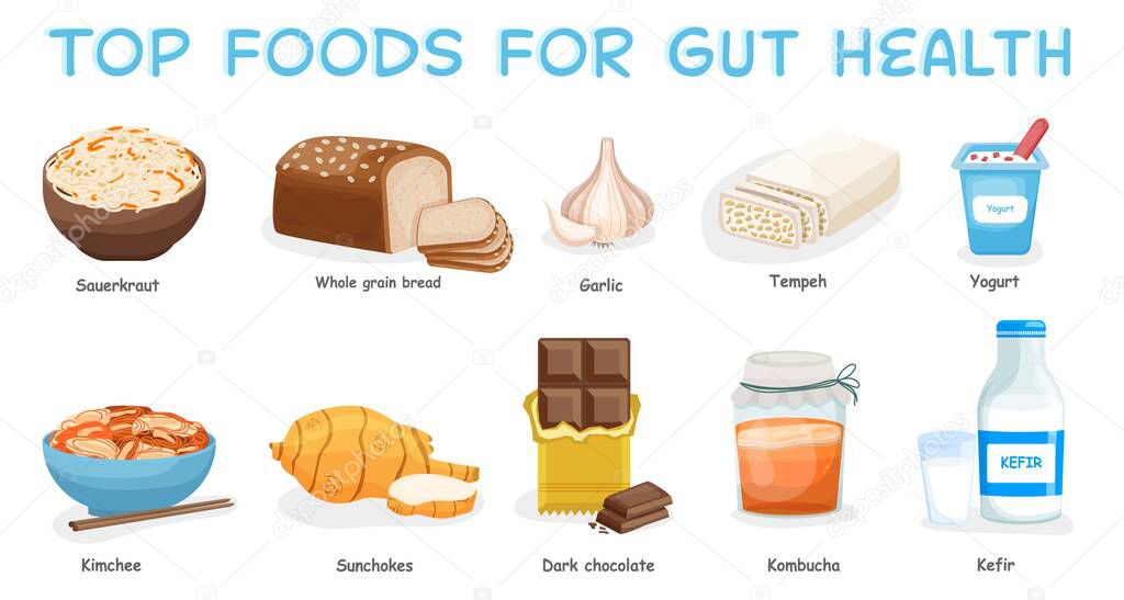 Top foods for gut health. Healthy products collection.