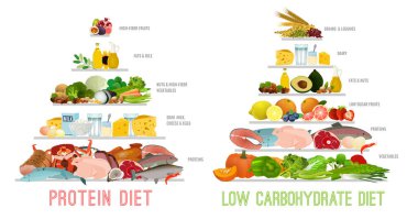 Protein düşük karbonhidrat diyeti. İzole vektör illüstrasyonu